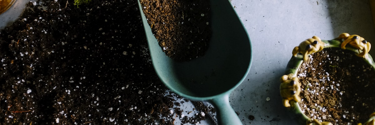 阳台上的小型家庭菜园种植着各种香草和蔬菜