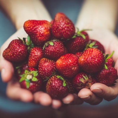 GIF动画展示种子在土壤中发芽并长成小苗的延时过程