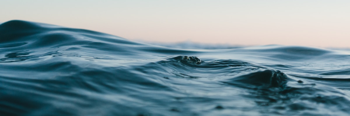丰富的有机蔬菜和水果摆放在木桌上展示健康饮食
