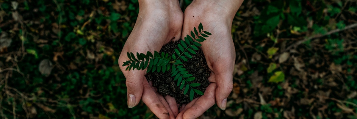 城市公园中一家人骑自行车享受绿色出行